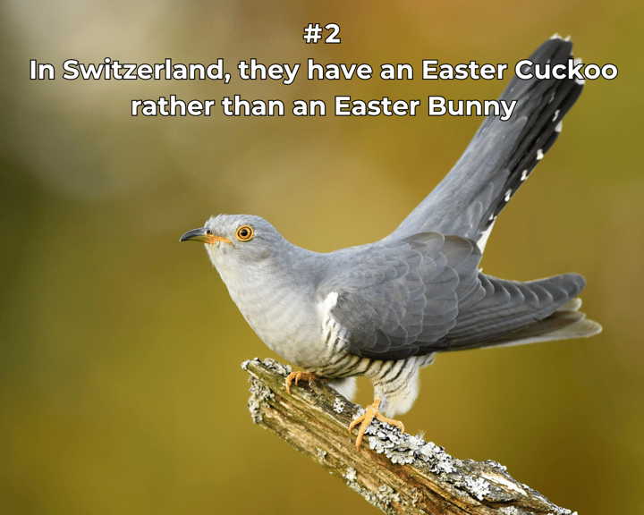 Easter fun fact - World Translation (3)